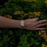 Stil® Calista Collection